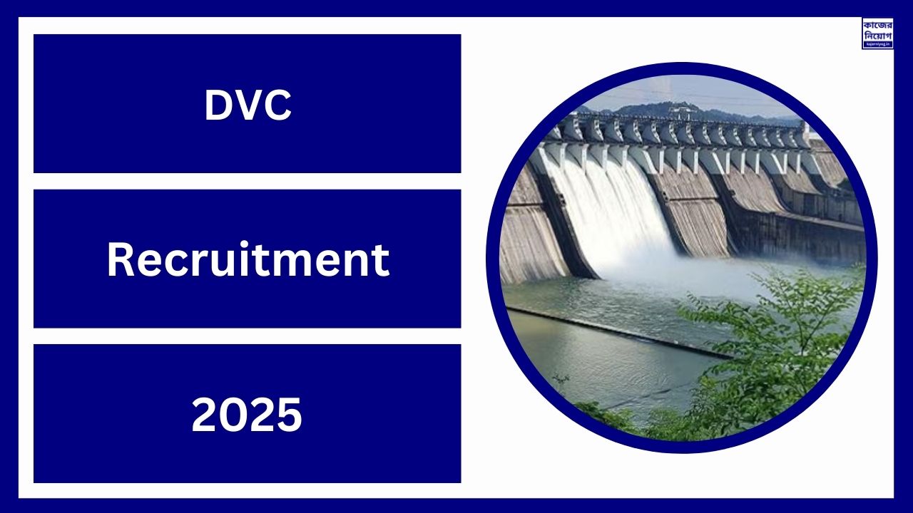 DVC Recruitment 2025